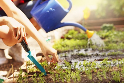 Gardeners Walthamstow working on a neat urban garden