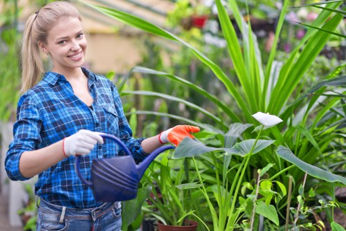 Professional gardening services in Walthamstow for tidy urban gardens