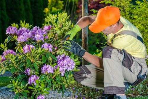 Gardeners Walthamstow caring for a well-kept local garden