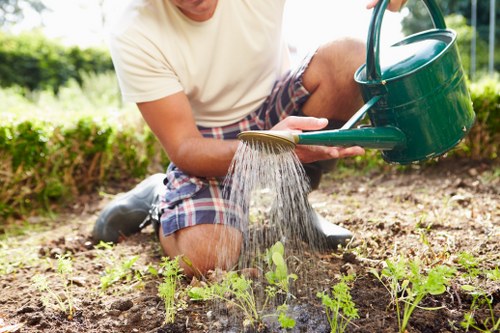 Reporting concerns in Walthamstow gardening operations
