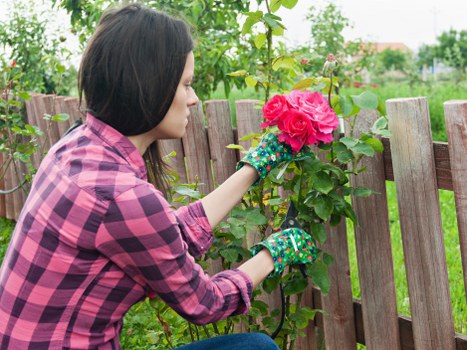 Accessibility request section for local garden services