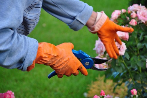 Professional hedge cutting and garden upkeep in Walthamstow
