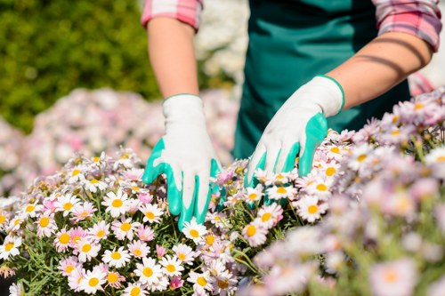 Garden service contract terms with booking and payment rules