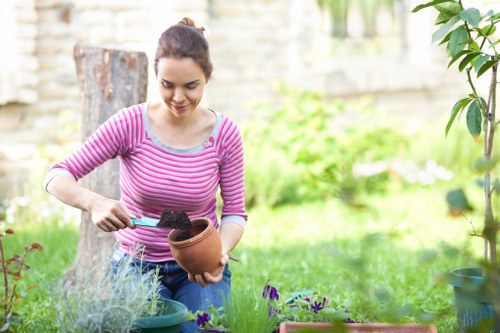 Walthamstow patio maintenance and cleaning for long-lasting paving