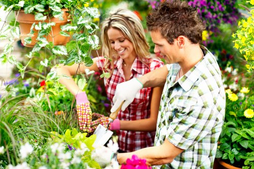 Seasonal lawn maintenance in an urban garden