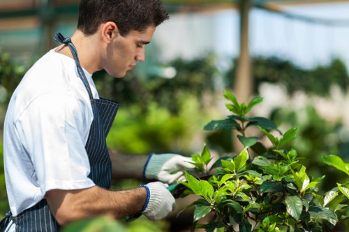 Garden makeover and landscaping support in Walthamstow