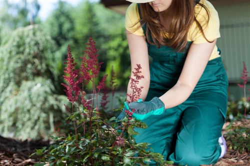 Seasonal gardening services in Walthamstow for patios and lawns