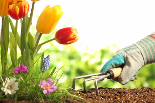 Walthamstow gardeners maintaining shrubs and lawn in a private garden