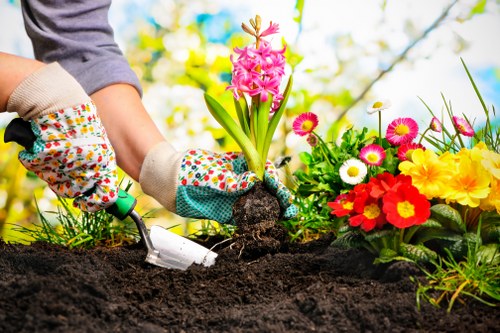 Garden clearance and planting maintenance in Walthamstow