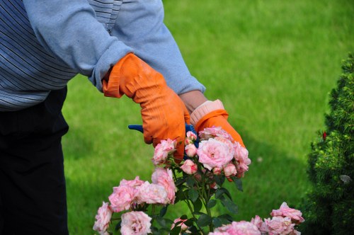 Trained gardening staff using tools carefully in a Walthamstow garden
