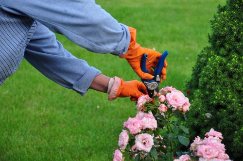 Garden clearance pricing explained for terrace and semi-detached homes