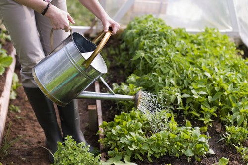 Regular lawn mowing service in Walthamstow during summer