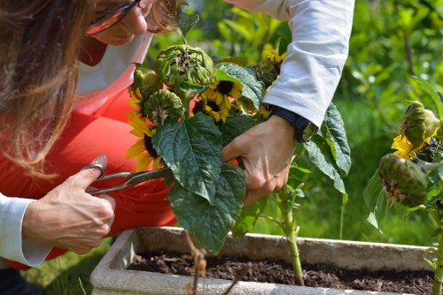 Professional gardening terms and conditions for outdoor work