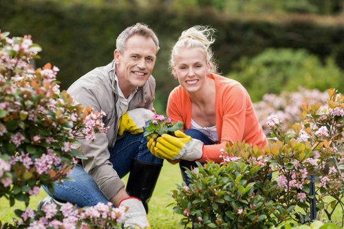 Seasonal hedge maintenance in Walthamstow