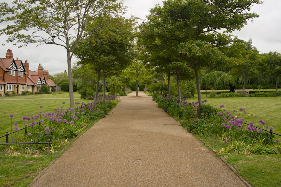A narrow garden pathway with concrete paving slabs, bordered by two parallel wooden-edged flower beds filled with green shrubs and small trees. The slabs show signs of slight wear with some moss and d